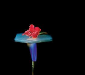 Aerożel jest w 99 proc. złożony z powietrza. Korzysta z niego NASA.