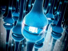 Jakie nasze wewnętrzne urządzenia sprawiają, że stale myślimy, uczymy się, pamiętamy, podejmujemy decyzje, odczuwamy emocje?