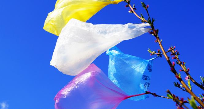 Zaśmiecanie planety plastikiem zagraża bioróżnorodności, ale i przyczynia się do katastrofy klimatycznej: w 2019 r. produkcja, przetwarzanie i recykling plastiku odpowiadały za takie same emisje co 189 elektrowni węglowych.