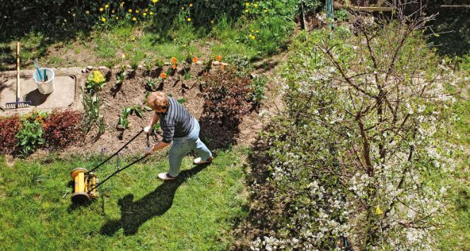 Trawnik daje mało korzyści, a dużo utrapienia.