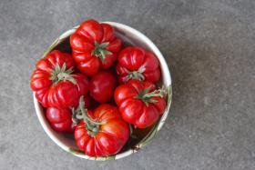 Znajdująca się pomidorach witamina C dotlenia naszą skórę i wzmacnia naczynia. Natomiast witaminy A i E chronią przed powstawaniem zmarszczek i przedwczesnym starzeniem się.
