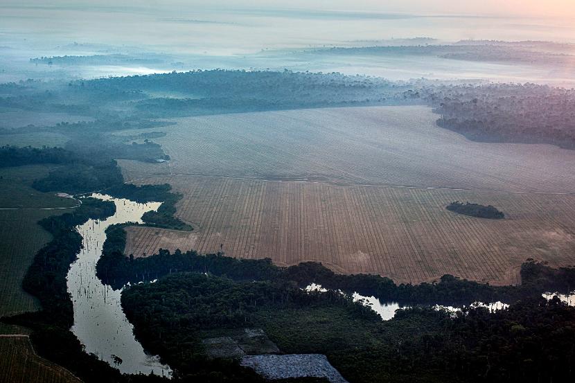 Ranczerzy mogą wypalać Amazonię do ostatniego drzewa, a jednocześnie są ofiarami katastrofy, którą sami na siebie sprowadzają.