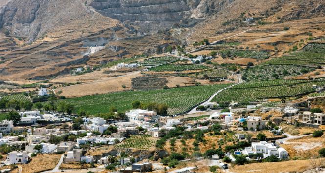 Dziś na Santorini działa blisko 20 producentów, a wina są najwyższej klasy.