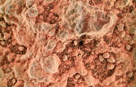 Zbliżenie gruntu Marsa – zdjęcia z łazika Perseverance, który w ramach misji NASA wylądował 18 lutego 2021 r. na Czerwonej Planecie.