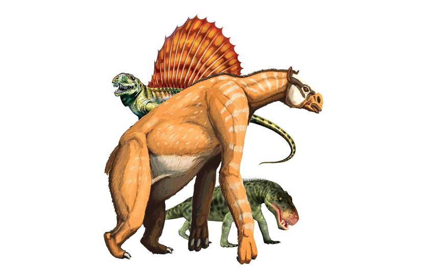Anisodon i dinozaury.