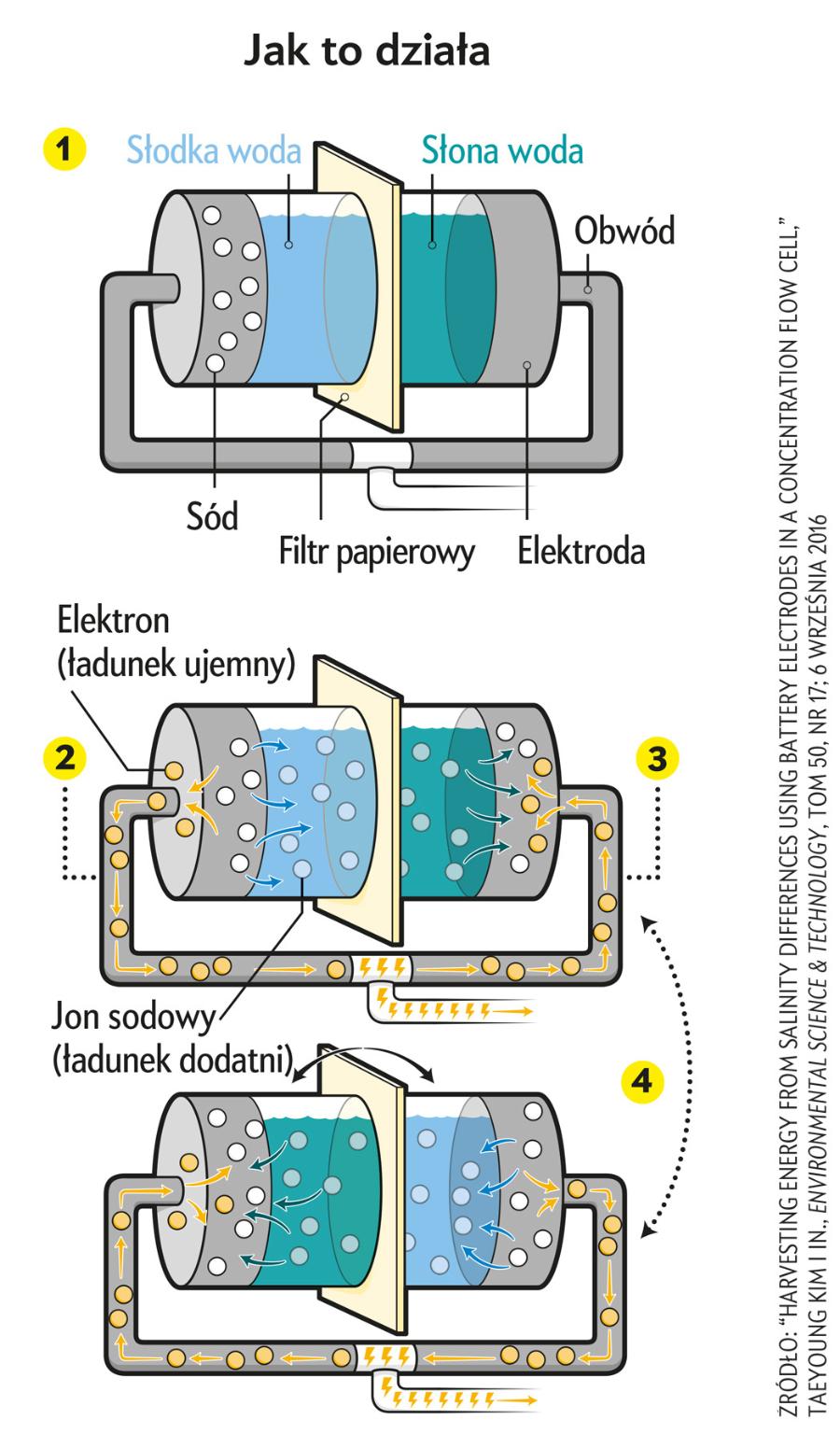 1. Woda morska i słodka wpływają osobno do dwóch części komory, w której znajdują się elektrody z żelazocyjanku miedzi. Papierowy filtr ogranicza do minimum mieszanie się cieczy w obydwu częściach. 
2. Elektroda po stronie zawierającej wodę słodką jest nasycona sodem. W kontakcie z wodą żelazo reaguje z sodem, powodując uwalnianie jonów sodu do roztworu, a elektronów do obwodu zewnętrznego.
3. W elektrodzie zanurzonej w wodzie słonej zachodzi proces odwrotny: przy udziale żelaza absorbowane są jony sodu z roztworu oraz elektrony dopływającego z drugiej części komory. Reakcje na obydwu elektrodach zachodzą równocześnie; wytwarzany prąd jest związany z przepływem elektronów pomiędzy elektrodami.
4. Co 60 s następuje wymiana cieczy wokół elektrod (woda słona zajmuje miejsce wody słodkiej i na odwrót). Pozwala to podtrzymać przepływ prądu między elektrodami.