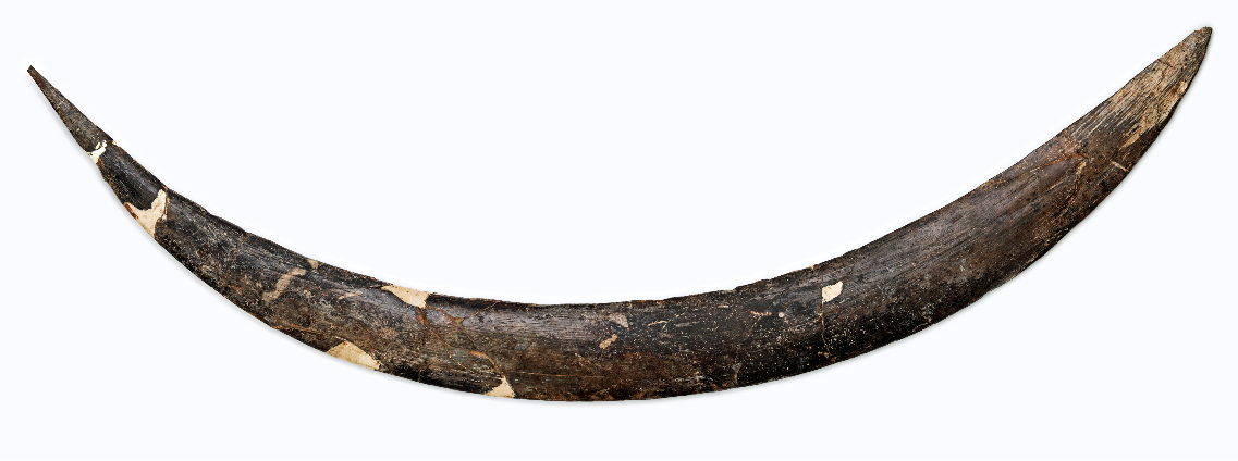 Bumerang z Obłazowej powrócił i okazał się najstarszy