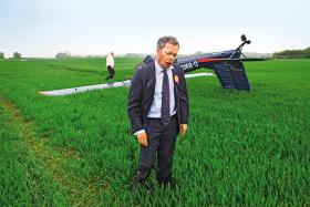 Nigel Farage tuż po katastrofie awionetki.