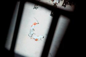 Nielegalne zdjęcie z jednej z egzekucji w Arabii Saudyjskiej.