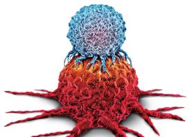 Immunoterapia polega na mobilizowaniu układu odpornościowego do samodzielnego likwidowania komórek nowotworowych. Ta metoda nie uszkadza zdrowych komórek tak jak chemia.