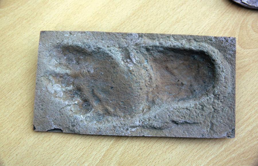 Odlew najstarszego znanego śladu (sprzed 5,7 mln lat) przodka człowieka. Odciski stóp na Krecie odkrył dr Gerard Gierliński.