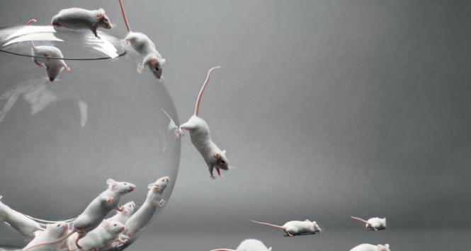 „Trzeba wybrać takiego towarzysza, z którym obcowanie będzie bezpieczne dla dziecka i na odwrót”.