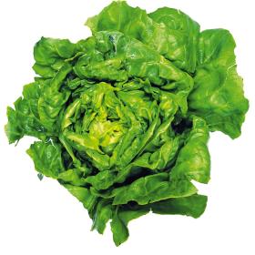 70 proc. powierzchni ziemi wykorzystywanej rolniczo służy dziś produkcji mięsa i nabiału zapewniającego tylko ok. 15 proc. światowej podaży kalorii.