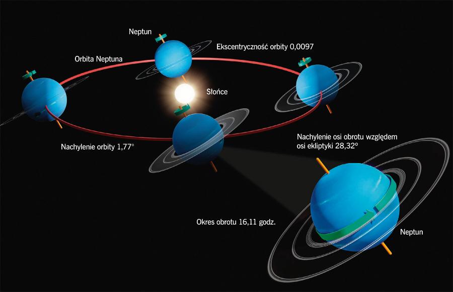 Orbita Neptuna, czyli ostatniej planety Układu Słonecznego. Znajduje się 4,5 mld km od Słońca, a jego okres orbitalny wynosi 165 lat.