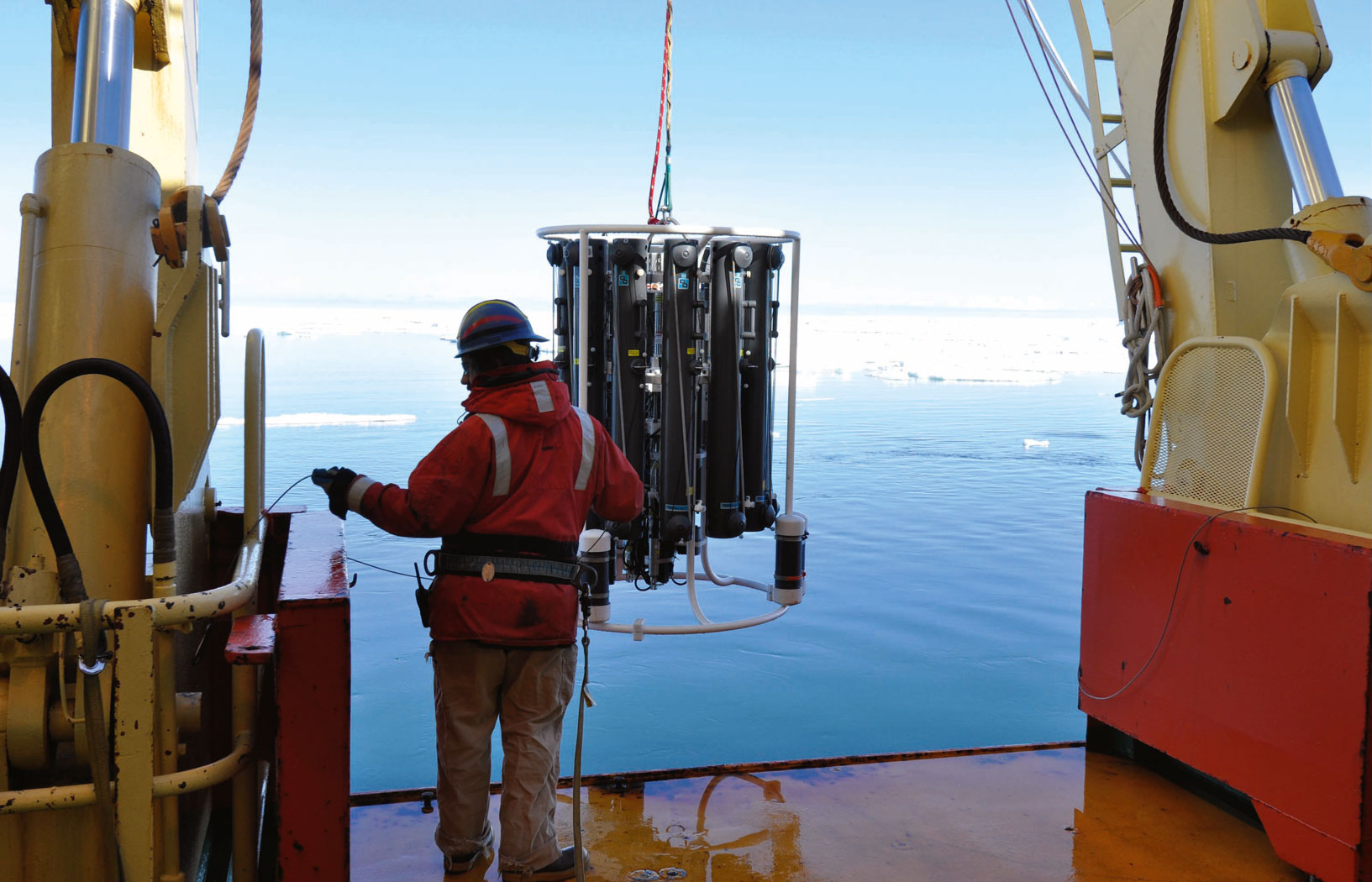 Ziemia się trzęsie, będzie co jeść