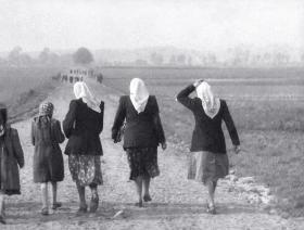 Jedno ze zrobionych przez Augusta Czyżowicza zdjęć we wsi Brzózka.