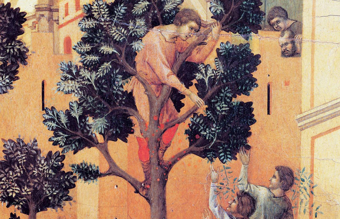 Zacheusz na sykomorze, fragment „Wjazdu Chrystusa do Jerozolimy”; obraz Duccia di Buoninsegni (1255–1319) z głównego ołtarza katedry w Sienie.
