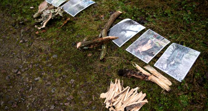 Ciepło da się stworzyć. Żołnierze pokazali zalety brzozowej kory, która – umiejętnie zeskrobana – tworzy fantastyczne loczki i wióry, zajmujące się ogniem od zaledwie kilku iskier. Zdjęcie ze szkolenia w Osowcu-Twierdzy w województwie podlaskim. 22 listopada 2025 r.