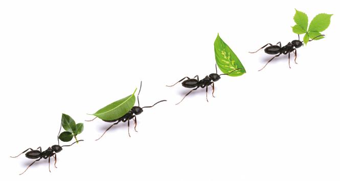 22.edycja Nagród Naukowych POLITYKI