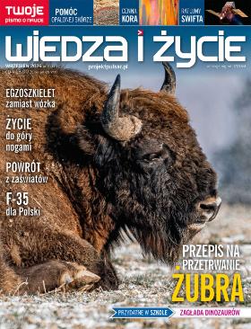 wydanie pulsar wiedza i życie