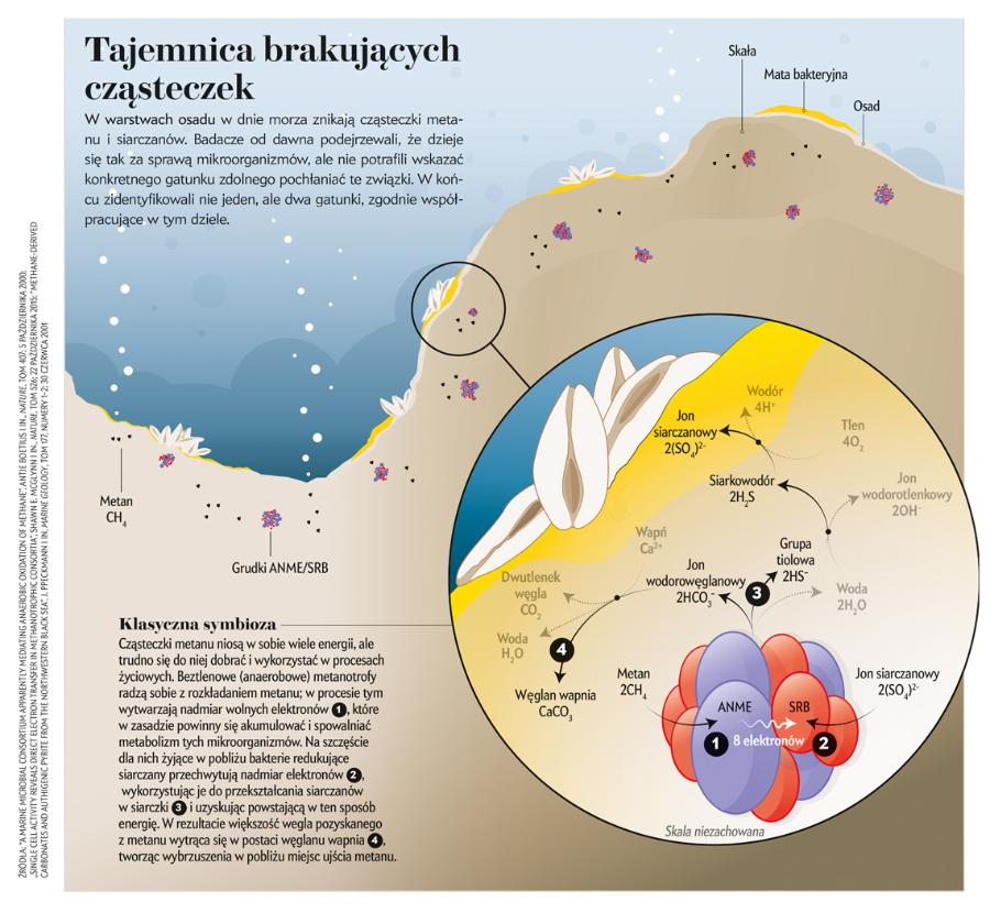 Tajemnica brakujących cząsteczek