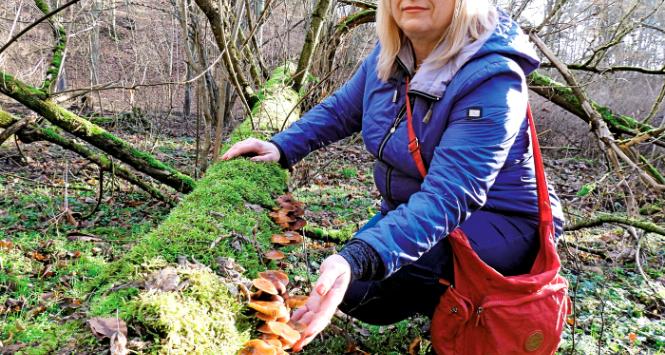 Beata Wieczorek przy płomiennicy zimowej podczas styczniowego grzybobrania.