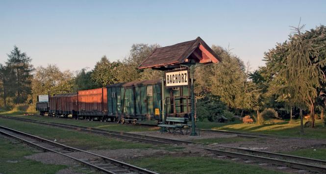 Przystanek Bachórz kolejki wąskotorowej kursującej na trasie Przeworsk–Dynów.