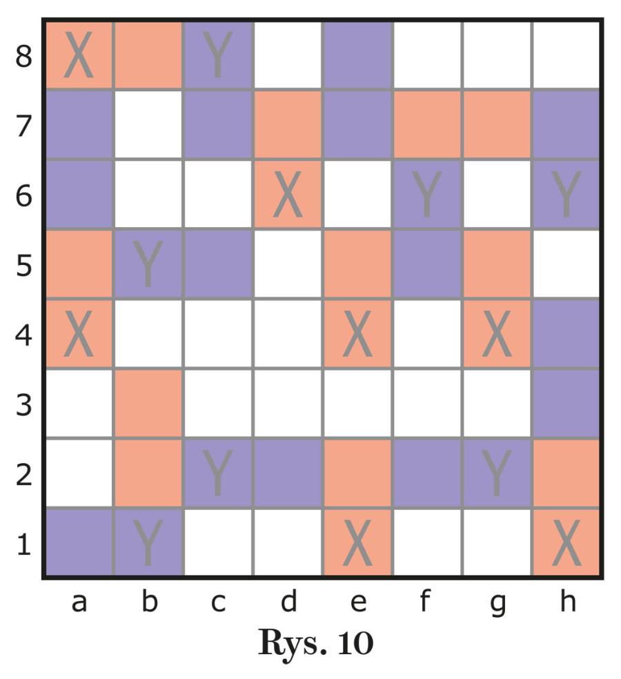 Rys. 10