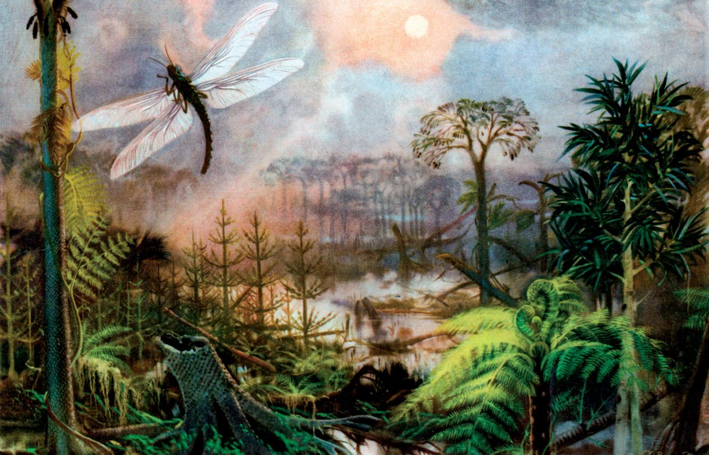 Erą tlenu nazywa się paleozoik – wtedy w powietrzu było go ponad 25 proc. Dzięki czemu ówczesne zwierzęta osiągały ogromne rozmiary.