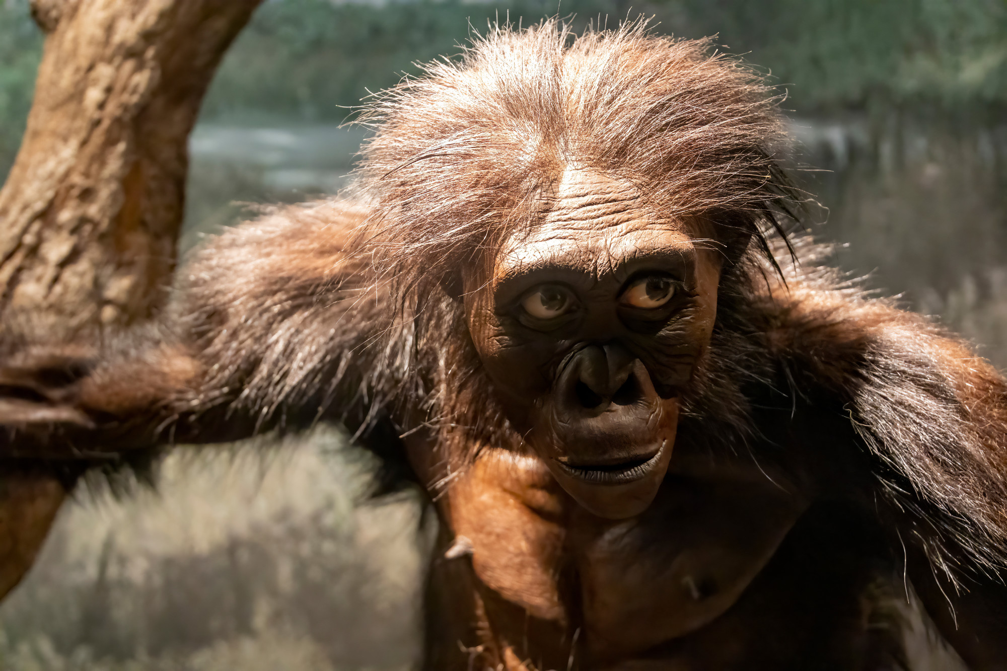 Nigdy nie byliśmy sami