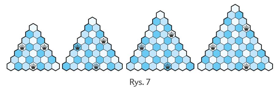 Rys. 7