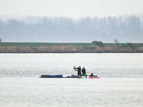 Humbak na mieliźnie w okolicy wyspy Poel i miasta Wismar. Przygotowania do akcji ratowniczej ostatniej szansy. 16 kwietnia 2026 r.