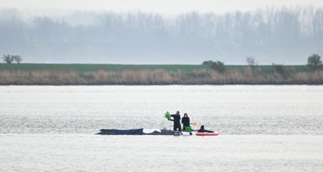 Humbak na mieliźnie w okolicy wyspy Poel i miasta Wismar. Przygotowania do akcji ratowniczej ostatniej szansy. 16 kwietnia 2026 r.