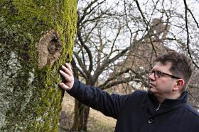 'A poza tym: śmiele rzec mogę, mam obrońcę Boga. Nie spadnie na mnie żadna straszna trwoga'.