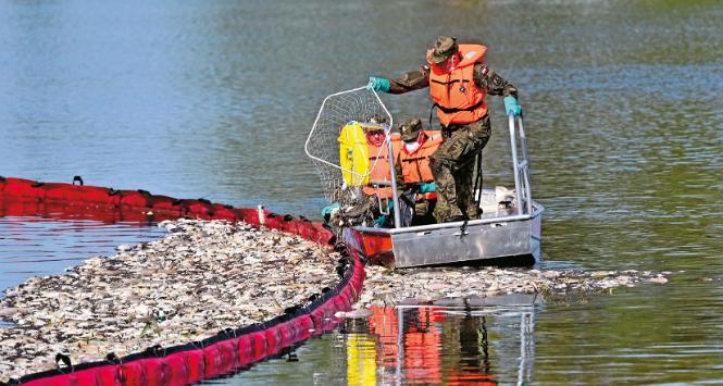 Monitoring polskich rzek i jezior miał być odpowiedzią rządu PiS na katastrofę ekologiczną na Odrze z 2023 r.