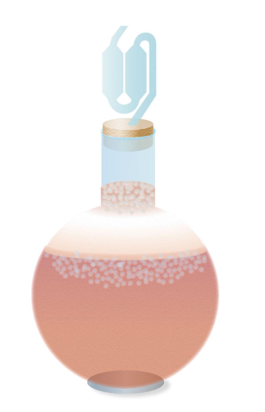 W czasie fermentacji alkoholowej wydziela się dwutlenek węgla – widoczny jako unoszące się ku górze bąbelki.
