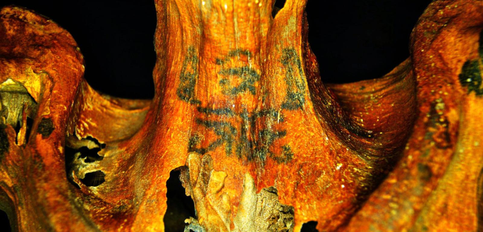 Skomplikowane tatuaże znalezione na szyi mumii w Deir el-Medina.