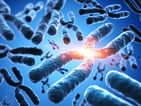 Chromosomy dicentryczne