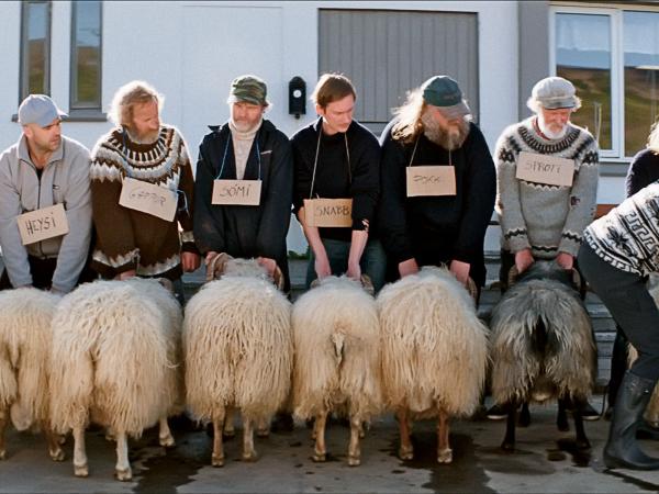 Islandzkie połączenie ciepłej ironii z nutą tragizmu