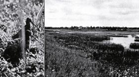 Zdjęcia wykonane przez Niethammera w okolicach obozu Auschwitz.