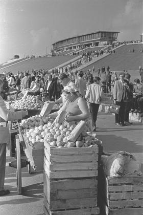 Przygotowania do zawodów we wrześniu 1957 r. Nieliczne wózki na drewnianych kołach z warzywami i owocami. Potencjał handlowy miejsca długo pozostawał jeszcze w uśpieniu.
