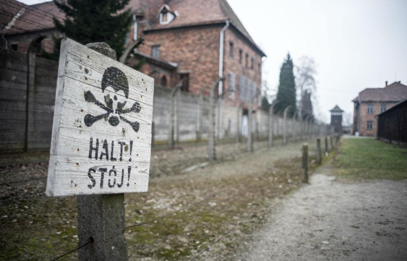 PiS twierdzi, że chodzi o karanie za „polskie obozy”.