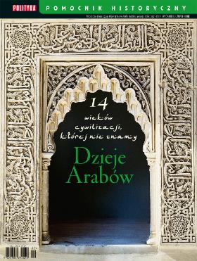 okładka - „Dzieje Arabów” wyd. 2