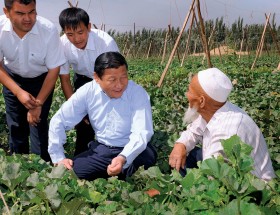 Przyszły lider musi nauczyć się rzadzić Chinami. Na zdjeciu Xi Jinping (w środku) z gospodarską wizytą w Ujgurskim Regionie Autonomicznym.