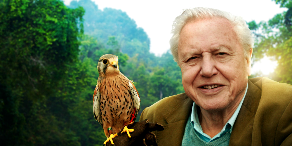 Sir David Attenborough Tyle jest jeszcze na świecie do odkrycia