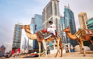 Polacy reagują na ostatnie wydarzenia i zmieniają swoje plany wyjazdowe na ten rok.