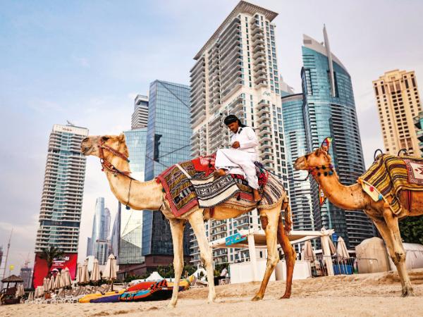 Polacy reagują na ostatnie wydarzenia i zmieniają swoje plany wyjazdowe na ten rok.