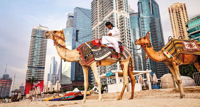 Polacy reagują na ostatnie wydarzenia i zmieniają swoje plany wyjazdowe na ten rok.