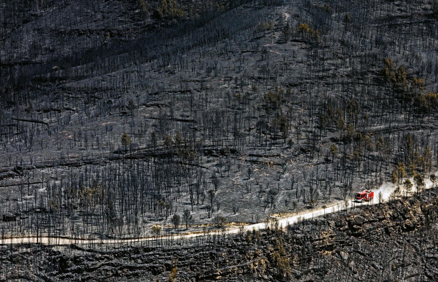 Tyle zostało z lasu w gminie El Pont de Vilomara w Hiszpanii po wielkim pożarze. Zdjęcie z 18 lipca 2022 r.