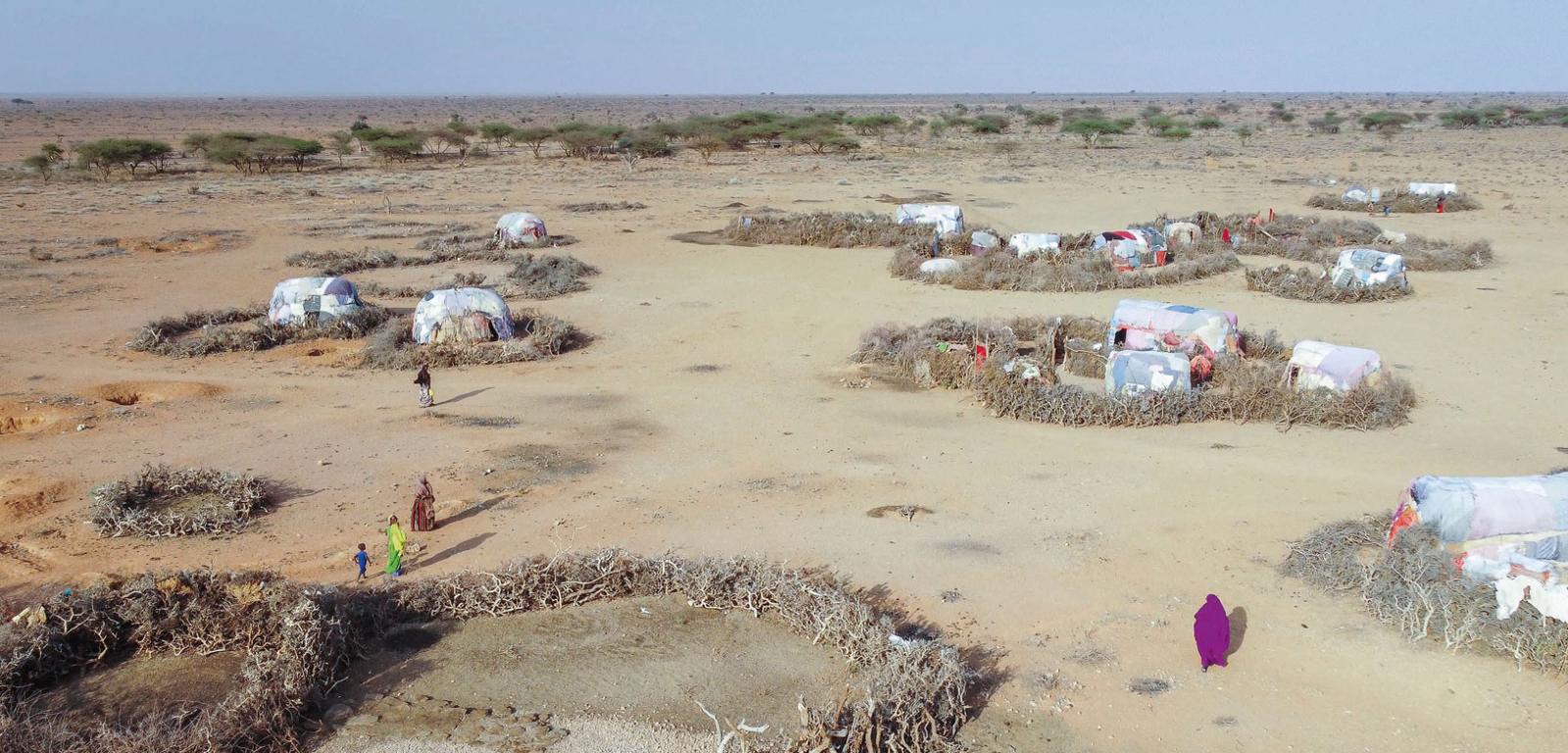 Obóz w Somalii dla ludzi, których susza zmusiła do ucieczki z domu.